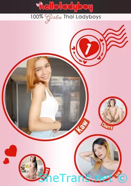HelloLadyBoy - 1080p/SD