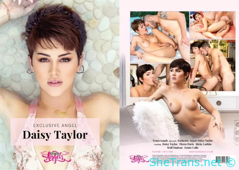 Exclusive Angel: Daisy Taylor - 1080p/720p/SD