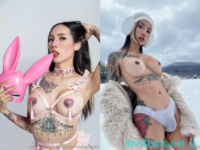 TSErikaLio, tserikalio, Erika Lio - Pack [90 Videos]