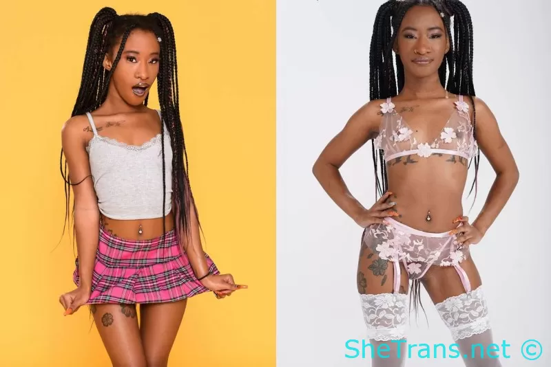 Mini Stallion - MegaPack [82 Videos]