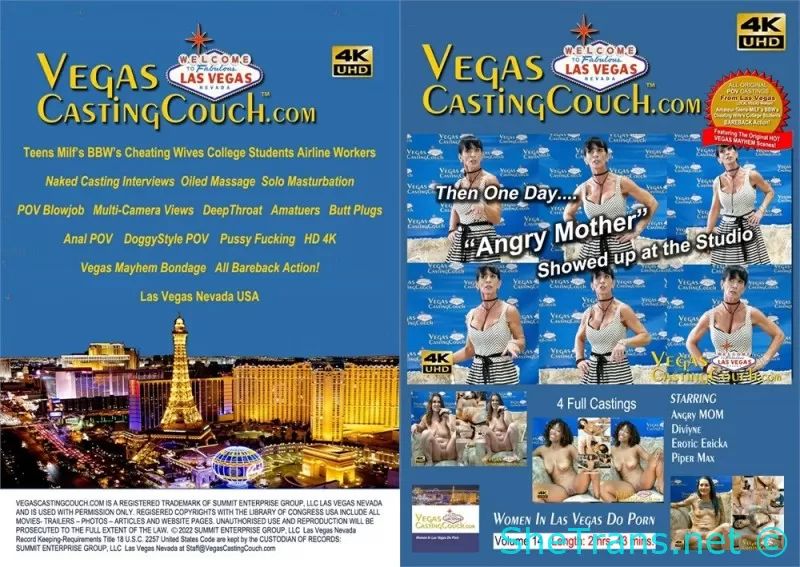 Vegas Casting Couch Volume 14
